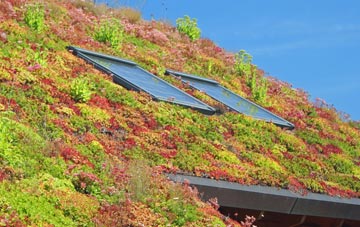 Hemingford Abbots living roof systems