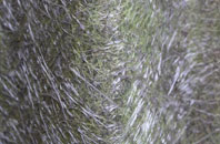 Hemingford Abbots fibreglass roof work